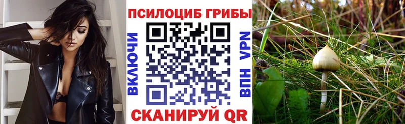 Галлюциногенные грибы MAGIC MUSHROOMS Белоусово