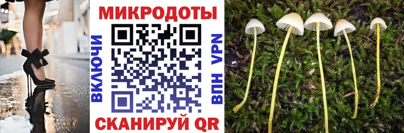 Купить где  Белоусово  Галлюциногенные грибы Cubensis 